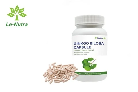 Ginkgo Plus Kapsülleri