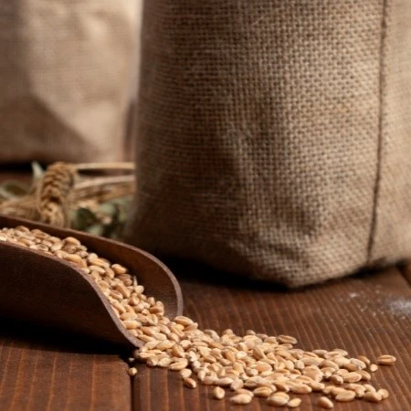 hydrolyzed wheat protein hydrolyzed wheat protein